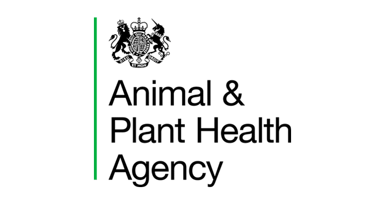 Animal and Plant